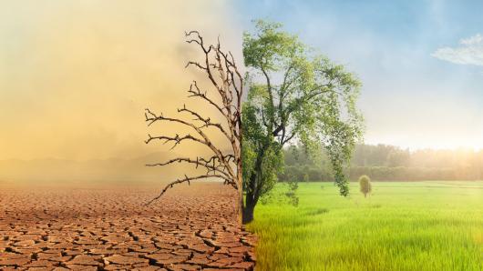 Metodinė priemonė „Klimato svarstyklės“ – tvaresniems pasirinkimams gyvenime ir karjeroje