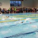 Lietuvos neformaliojo švietimo agentūros organizuojamame Lietuvos vaikų plaukimo čempionate page